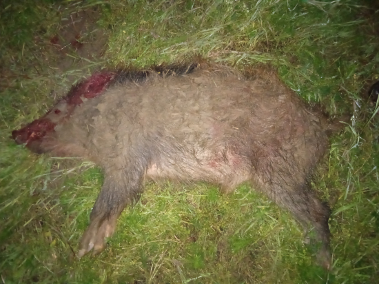 Ďalší sa pomýlil .