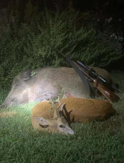 Vydarená vychádzka