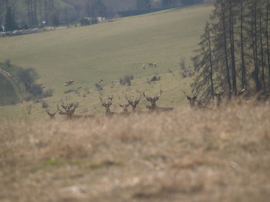 Ešte ked ich nosili