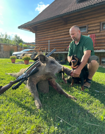 Zlatý životný kanec