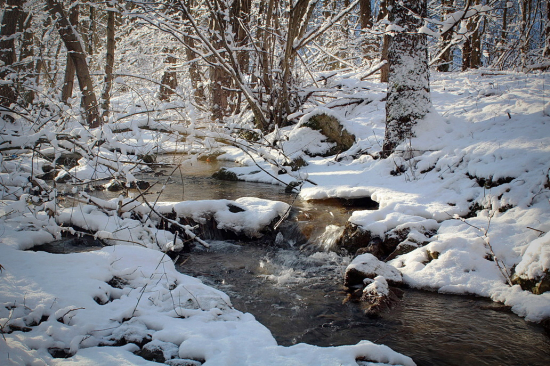 zimná idylka