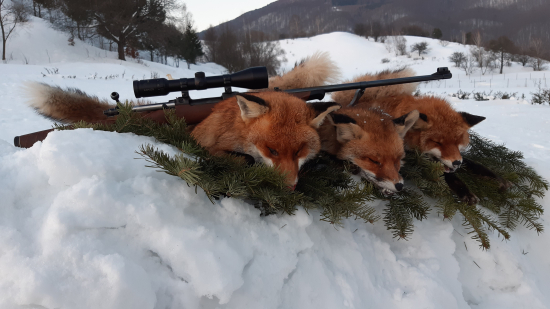 Sneh a spln, kombinácia, ktorej sa nedá odolať