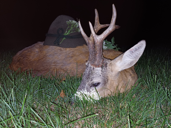 Z tých lepších....