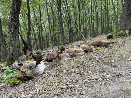Nedeľné ránko s Susan25 a Operákom...Lovu Zdar