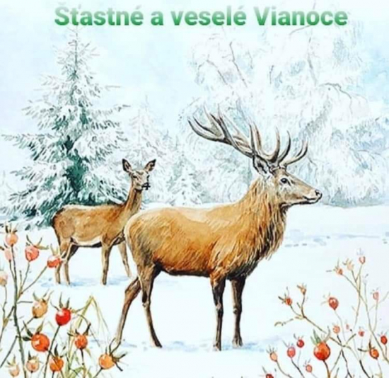 Veselé Vianoce