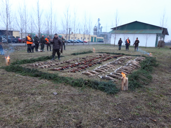 niečo sme aj trafili