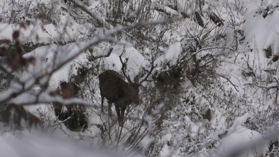 Výradový ?-iný pohľad