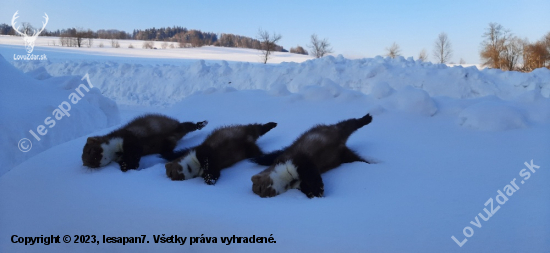 Vydařená neděle
