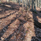 Vlaňajší 10 torak