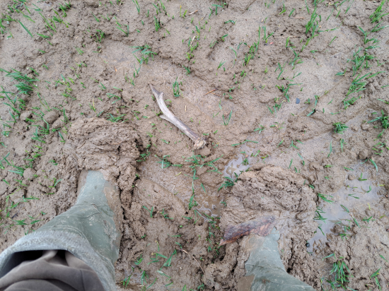 Po třech dnech konečně úspěch.