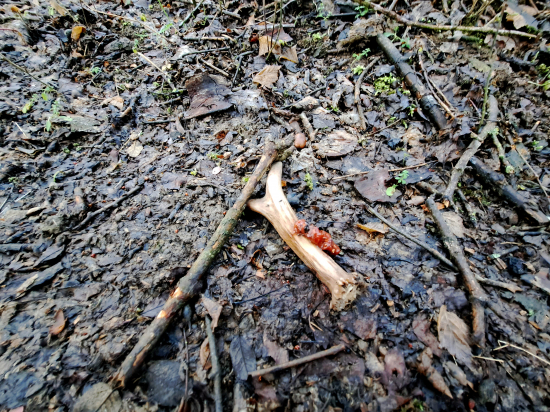 Zatím poslední a po....ý ;-))