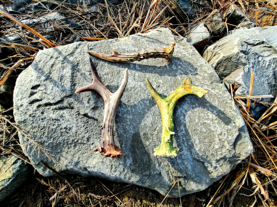 Šťastné pondělí.