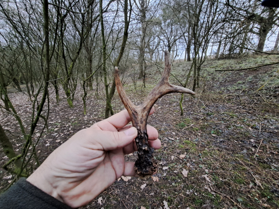 Začátek super dne.