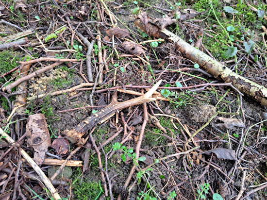 Téměř neviditelný.