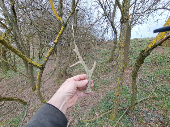 Dnes dva staré.