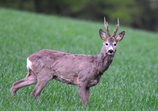 Slušný začátek sezóny.
