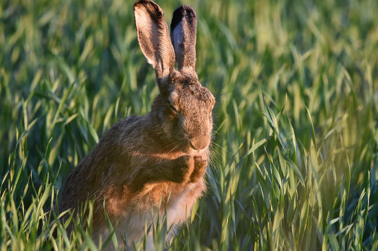 Prosím,ať se netrefí ;-))