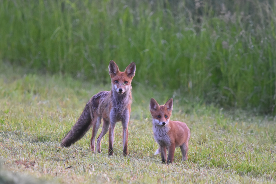 Začalo vyučování.