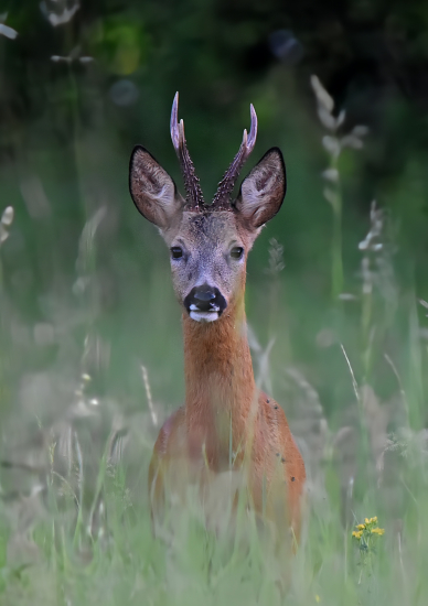 Parádně se nám to rozjíždí ;-))