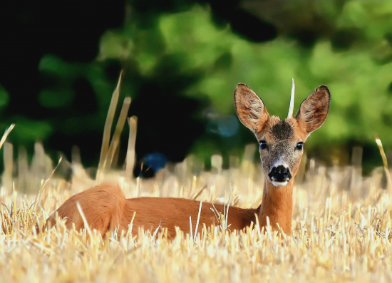 Takový trochu jiný  ;-))