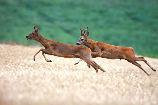 Nic není zadarmo  ;-))