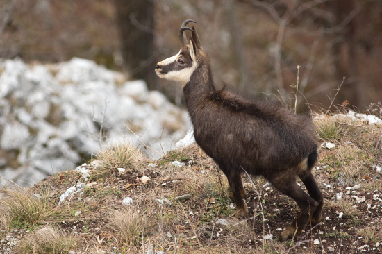 Kontrola z vyhliadky