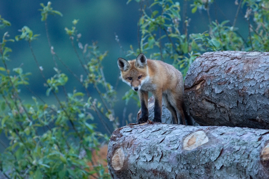 Večerné stretnutie