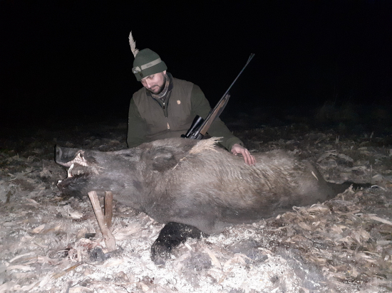 Starý kanec z minulej sezóny