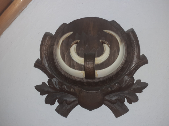 Podložka pod diviaciu trofej