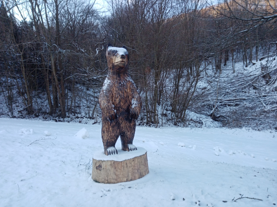 A že nie sú premnožené ...