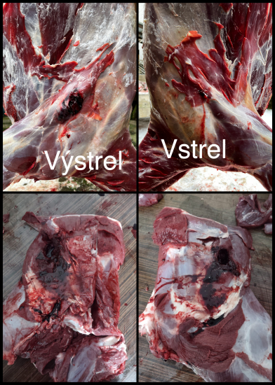 30-06 RWS UNI 11,7g/180gr. - Jelenica