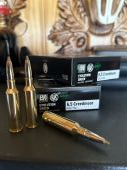 RWS Evo Green 6,5 creedmoor