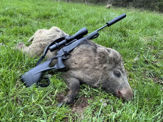 Podvečerna prechádzka