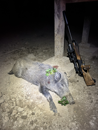 Test noveho streliva