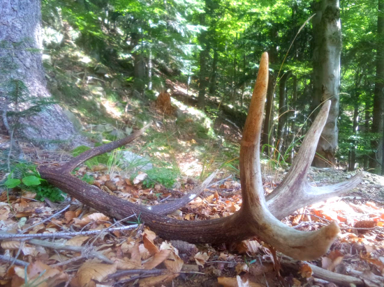 Za jesennými zážitkami...