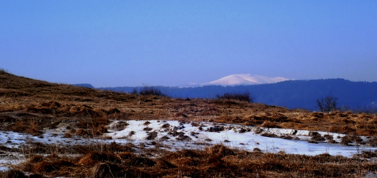 KRÁĽOVÁ HOĽA ZO SPIŠA