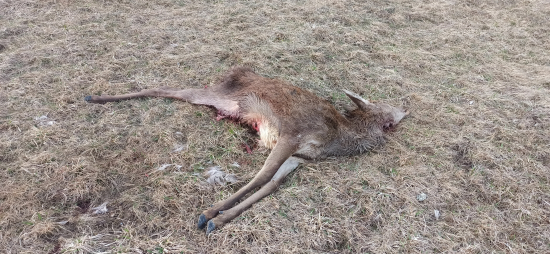 Účastník dopr.nehody