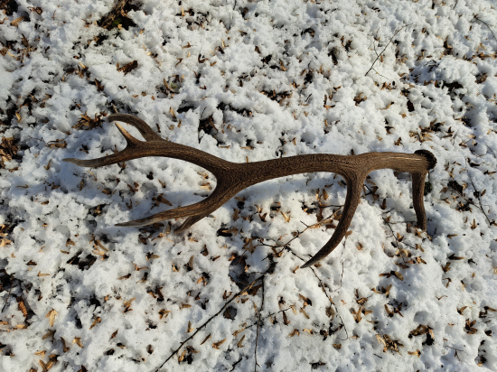 Skoro mi oči vypadli