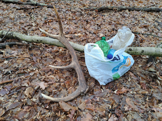 Vlaňajší zhod + zber odpadu po dementoch