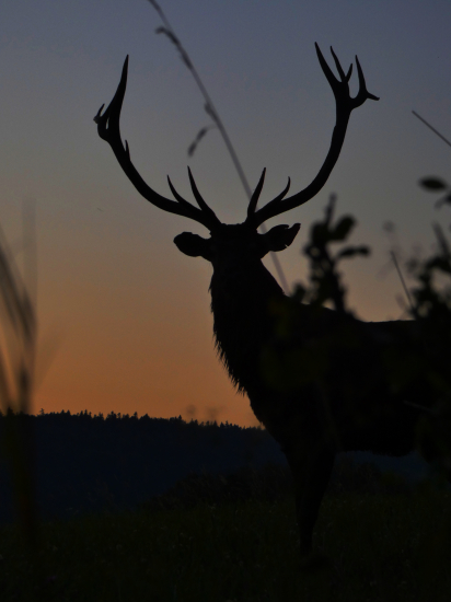 V posledných lúčoch