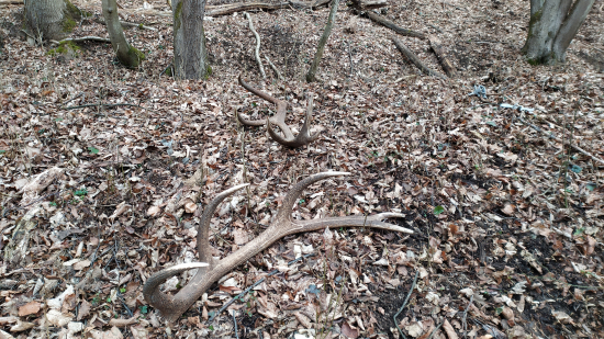 Konečne sa zadarilo????????