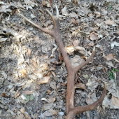 10-torak 92cm 1,8kg