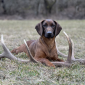 Včerajška prechádzka