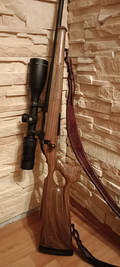 Ruger American rifle 308 win