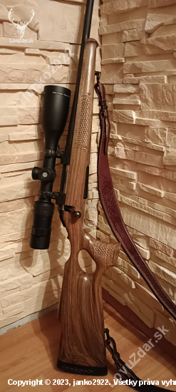Ruger American rifle 308 win