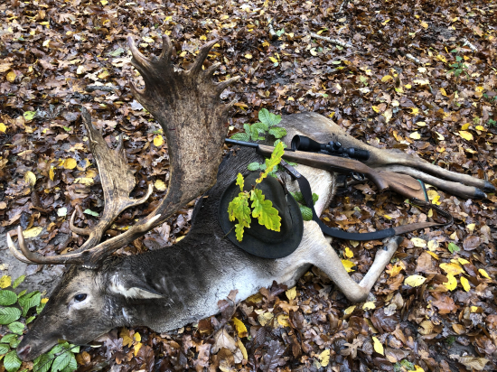 Zlatý daniel - posledná pocta