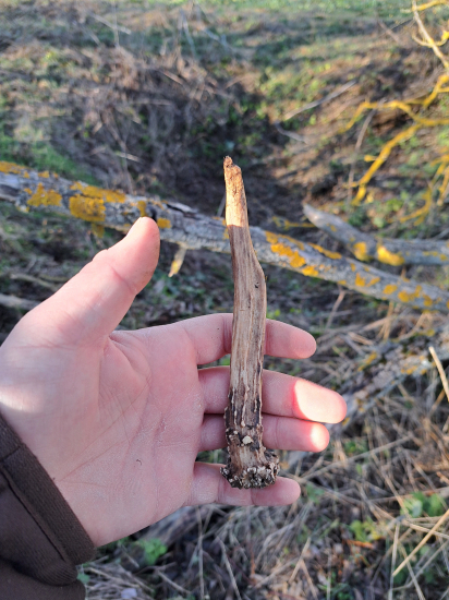 Po X km aspoň jedene minuloročný