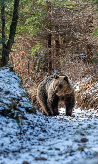 Na potulkách Turcom