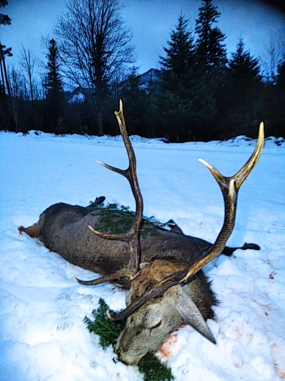 Na Štefana , za rána!