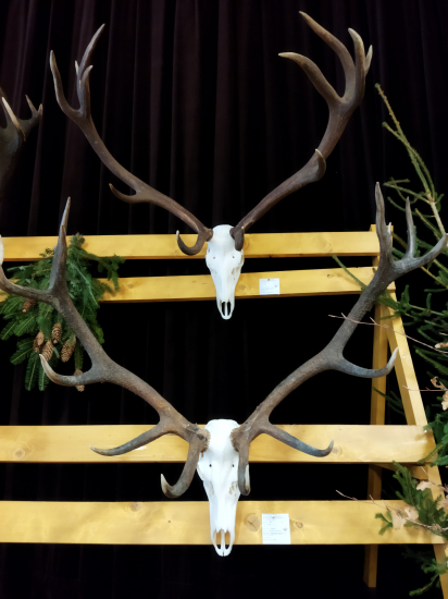 Liptovský králi  2